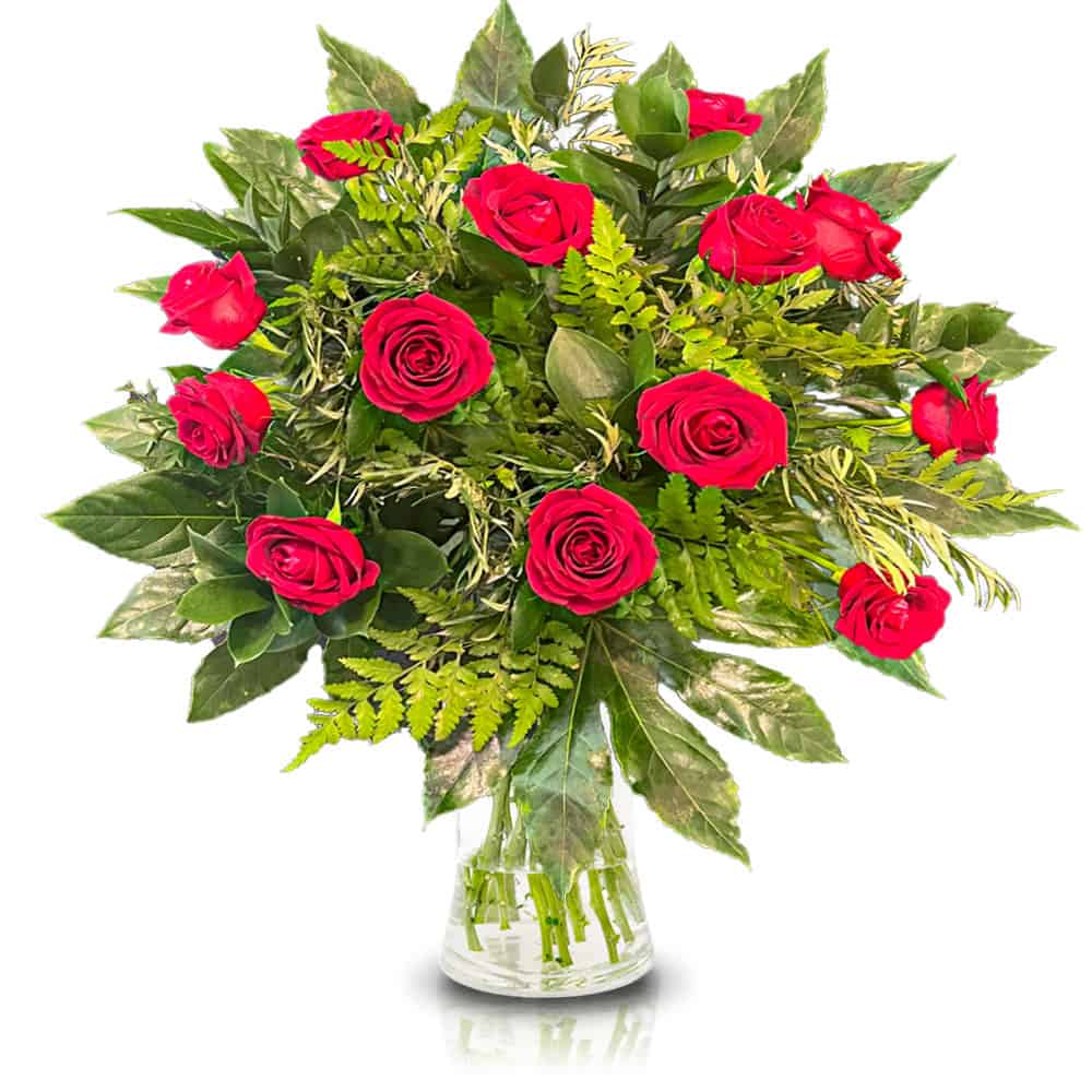 לרומנטיקנים שבנינו, זר ורדים אדומים קלאסי! השילוב המושלם בין ורדים אדומים לירוק הפראי בהחלט משדר אהבה ללא גבולות. הזר שזור מורדים אדומים בשילוב ירק וענפי קישוט.  האגרטל אינו כלול במחיר.  