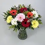 זר פרחים צבעוני במיוחד. שזזור ממגוון גרברות בצבעים שונים כמו אדום, צהוב, ורוד, לבן וכתום. צבע הפרחים משתנה בהתאם למלאי החנות. הפרחים צולמו באגרטל שקוף עם מים על רקע לבן.
