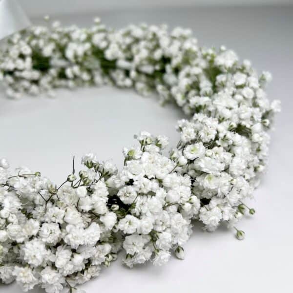 זר פרחים לראש בצבע לבן. שזור צפוף צפוף מפרחי גיבסנית לבנה. צולם על רקע לבן.