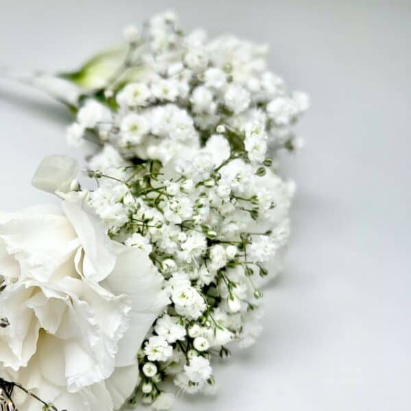 זר פרחים לראש בצבע לבן. שזור מקבוצות של גיבסנית לבנה וצפופה בשילוב ליזיאנטוס לבן. הזר צולם על רקע לבן.