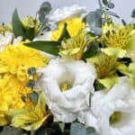 סידור פרחים מתנה מהשמש הו סידור פרחים בצבעים של צהוב ולבן. שזור מפרחי ליזיאנטוס לבן, חרציות צהובות ולבנות, גיבסנית לבנה, אלסטורמירה צהובה ואקליפטוס סילבר. צולם מקרוב מאוד.
