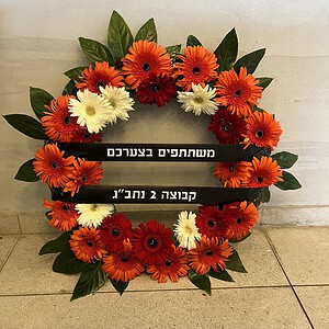 גלגל אבל אדום כתום לבן