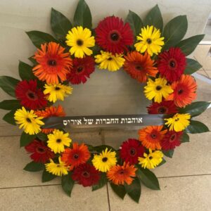 גלגל אבל צהוב אדום כתום