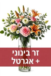בינוני + אגרטל